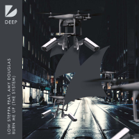 Burn Me Up (The System) (Single)