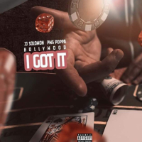 I Got It (feat. Hollywood & PMG Poppa) (Single)