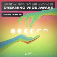 Dreaming Wide Awake (Single)