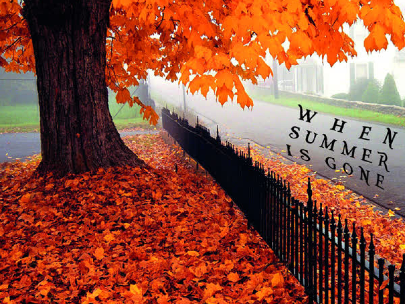 When Summer Is Gone