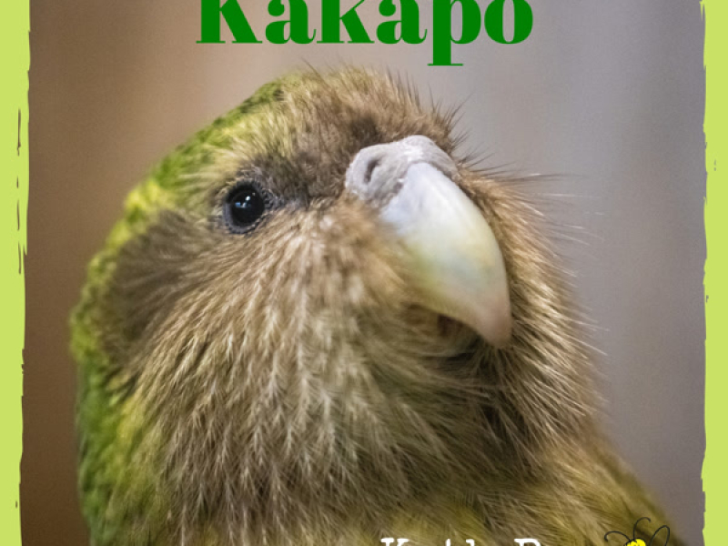 Kākāpō (Single)