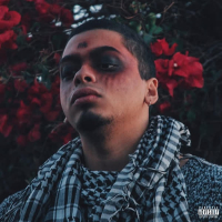 Stop Stalking Me (Single)