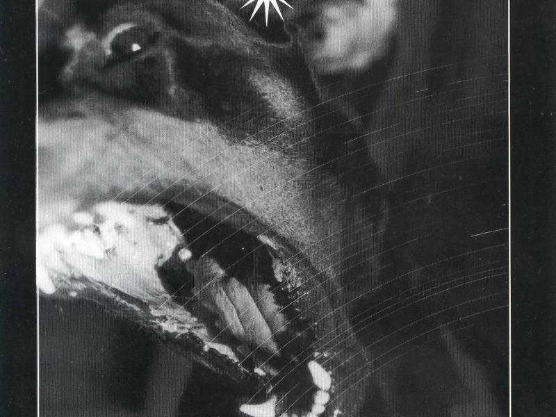 10 Seconds In (Single)