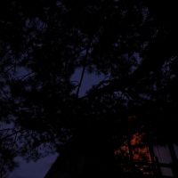 Next Chapter (Single)