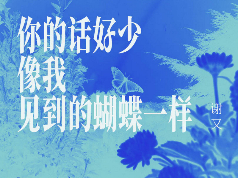 你的话好少 像我见过的蝴蝶一样 (Single)