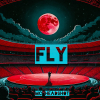 FLY (Single)