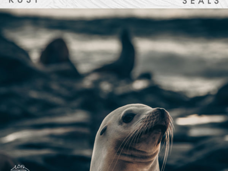 Seals (Single)