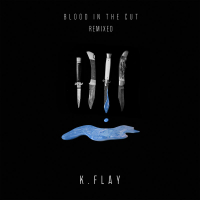 Blood In The Cut (Remixed) (Single)