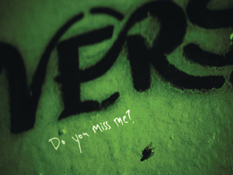 Do You Miss Me? (Single)