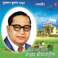 Dada Thambav Re Gaadi-Majhya Bheemvadila