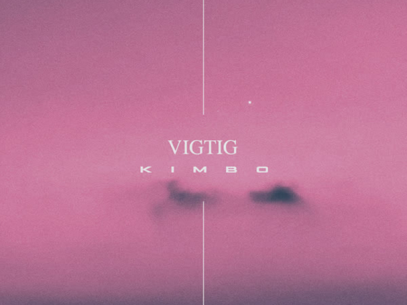 Vigtig (Single)