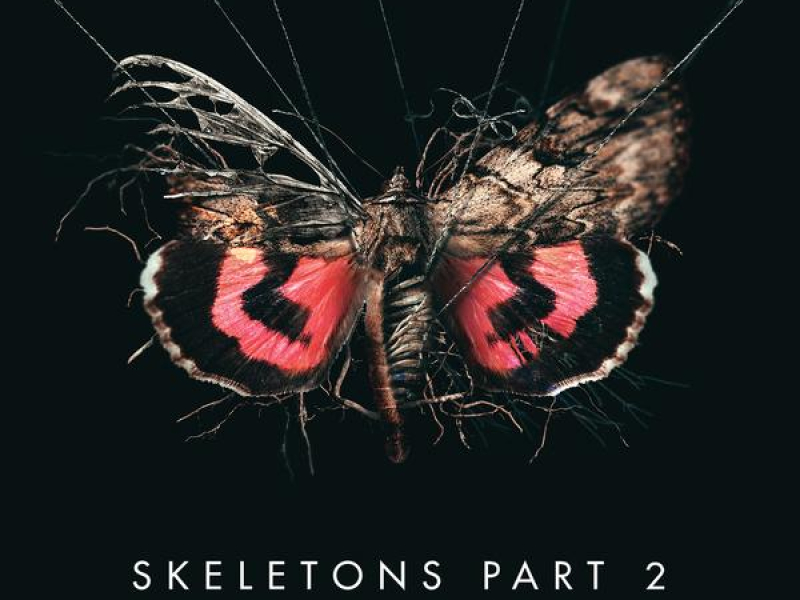 Skeletons: Part 2