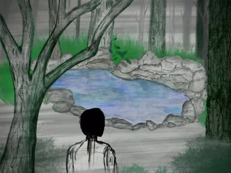 Mirror Forest Pond (Single)