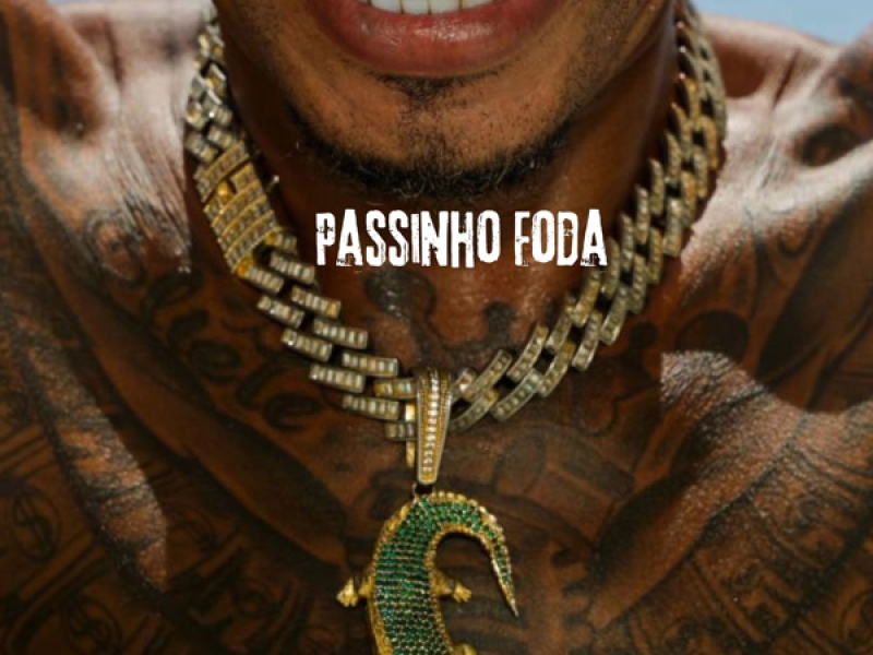 passinho foda (Single)