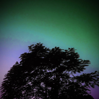 The Last Night (Lo-fi) (Single)