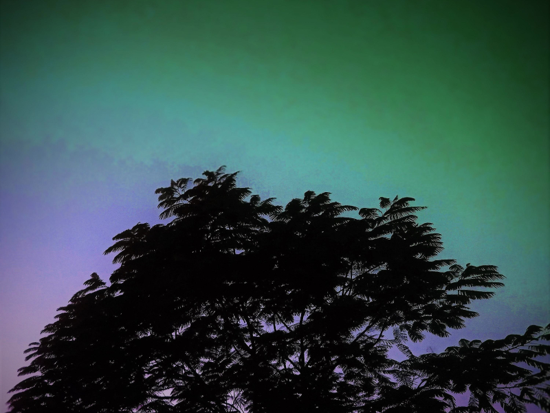 The Last Night (Lo-fi) (Single)