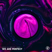 We Are Perfect (Single)