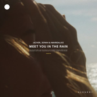 Meet You In The Rain (feat. maybealice) (Single)