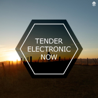 Tender Electronic Now (Single)
