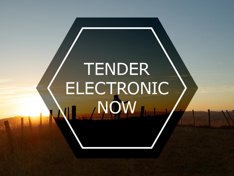 Tender Electronic Now (Single)