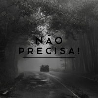 NÃO PRECISA! (Single)