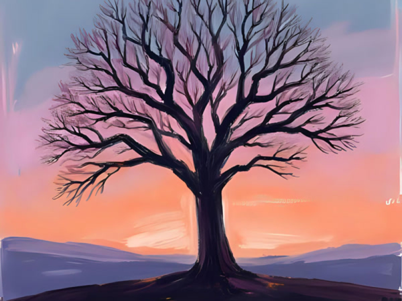 Vết Thương Cuối Cùng (Single)