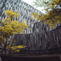 No Stress Affair (Single)