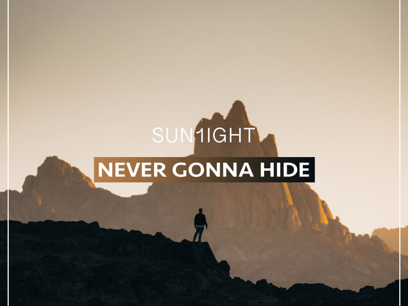 Never Gonna Hide (Instrumental) (Single)