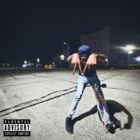 NEWTOWN POLAPAIN (Single)