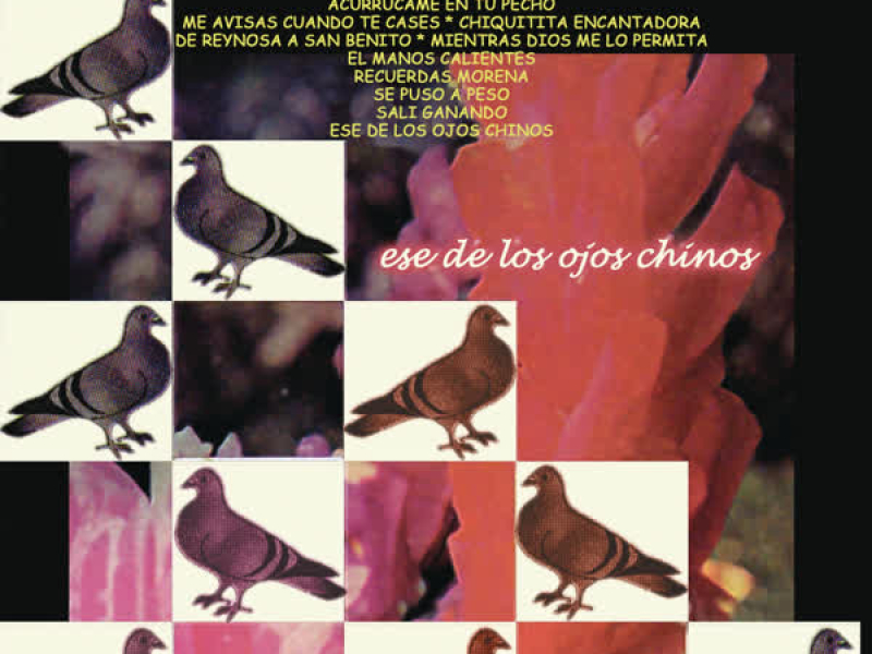 Ese de los Ojos Chinos