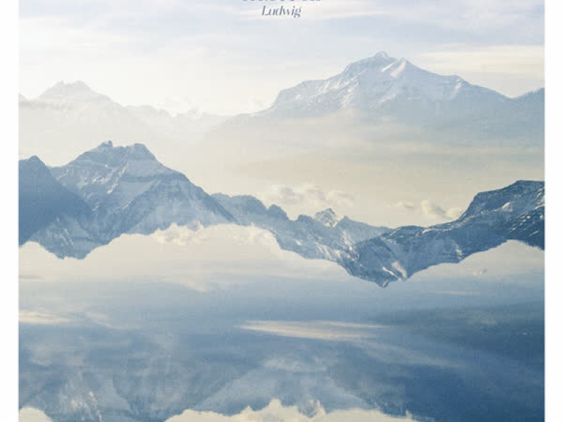 Ludwig