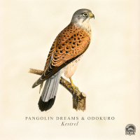 Kestrel (Single)