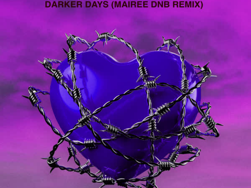 Darker Days (Mairee DnB Remix) (EP)