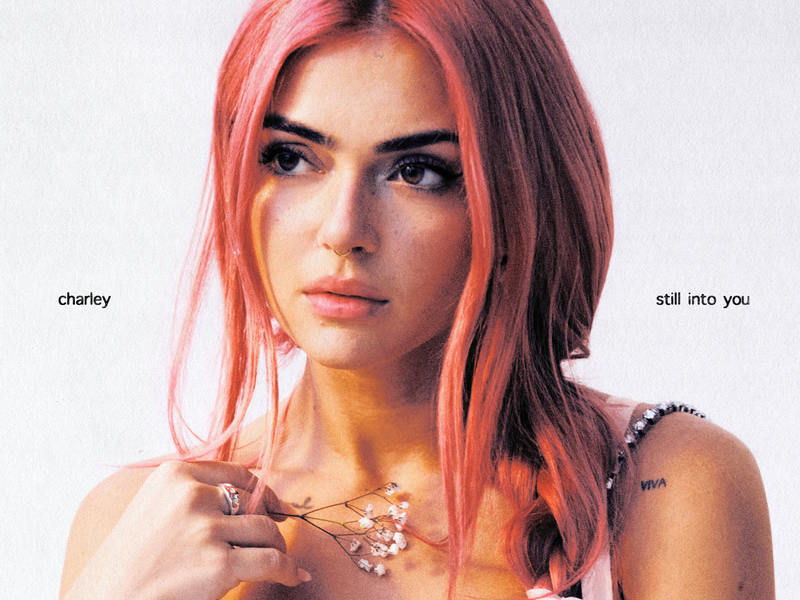 Still Into You (Single)