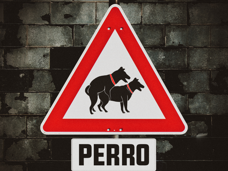 Perro