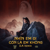 Nhìn Em Đi Còn Là Em Không (Remix) (Single)