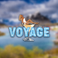 Voyage 2025 (Single)