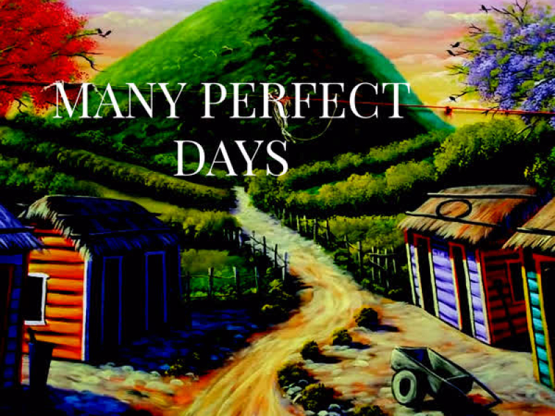Many Perfect Days
