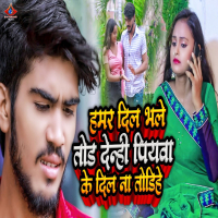 Hamar Dil Bhale Tod Denhi Piywa Ke Dil Na Todhihe (Single)