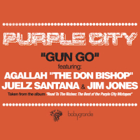 Gun Go (feat. Juelz Santana, Jim Jones & Un Kasa) (12