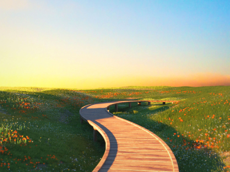 Scared To Be Lonely (Single)