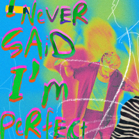 i never said i'm perfect (Single)