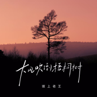 大风吹倒梧桐树 (DJ默涵版) (Single)