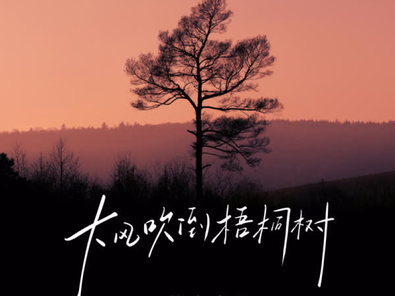 大风吹倒梧桐树 (DJ默涵版) (Single)