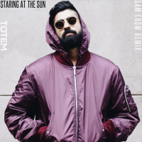 Staring at the Sun (Sam Crow Remix) (Single)