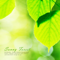 Sunny Forest (Single)