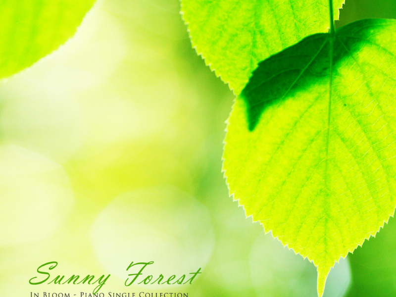 Sunny Forest (Single)