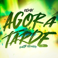 AGORA É TARDE (Remix) (Single)