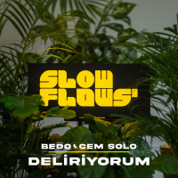 Deliriyorum (Akustik) (Single)