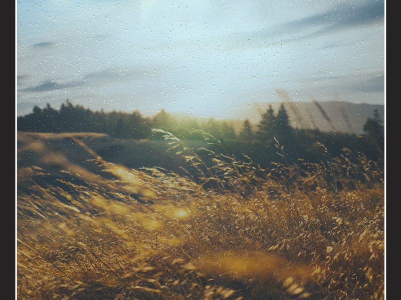 A Morning in the Countryside (Single)